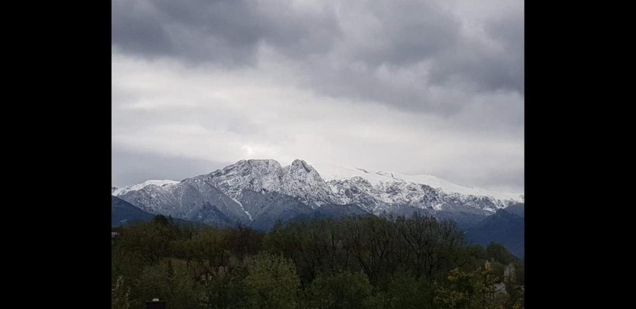 Apartamenty Magiczny Kacik Poronin Exteriör bild