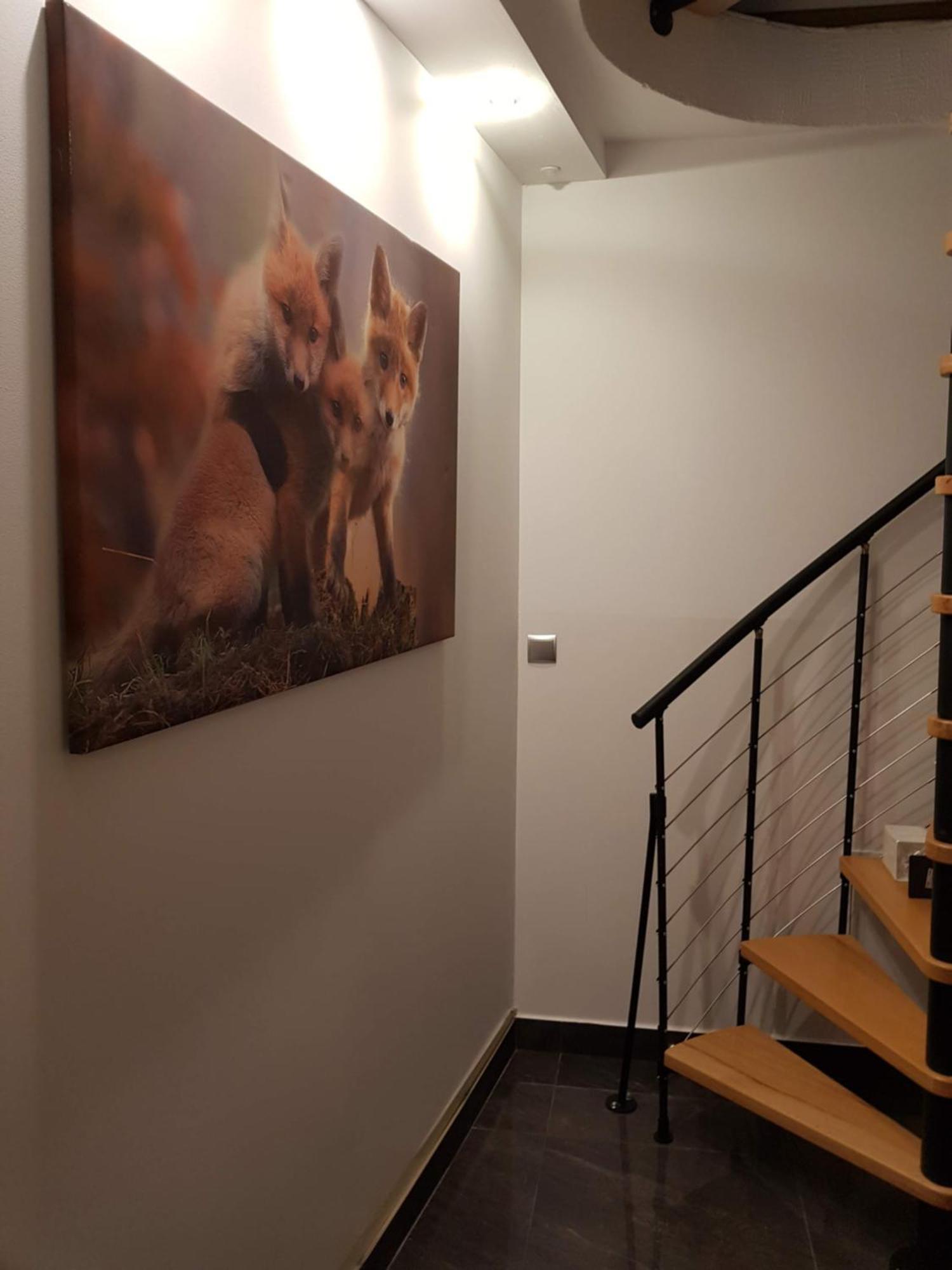 Apartamenty Magiczny Kacik Poronin Exteriör bild