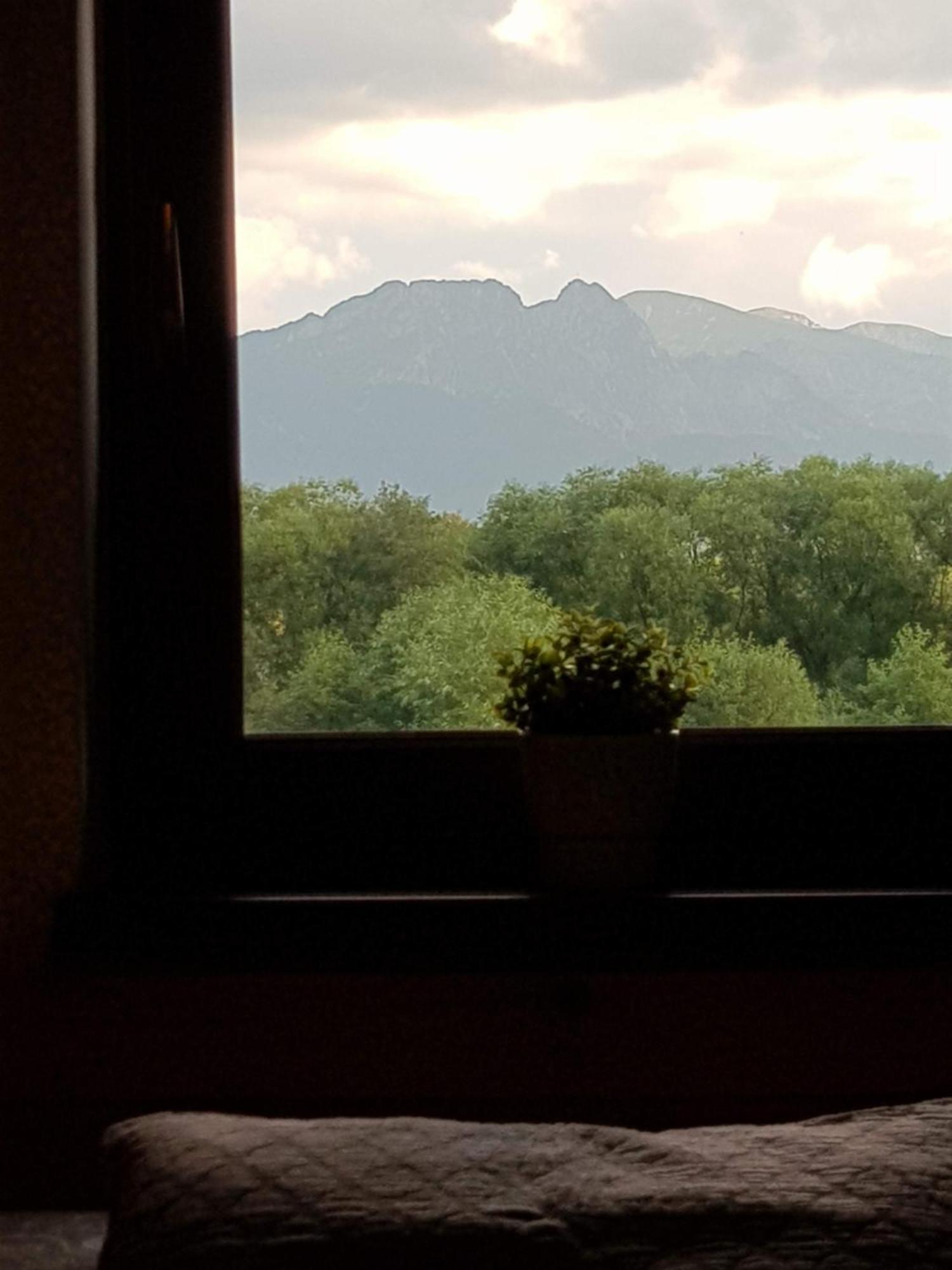 Apartamenty Magiczny Kacik Poronin Exteriör bild